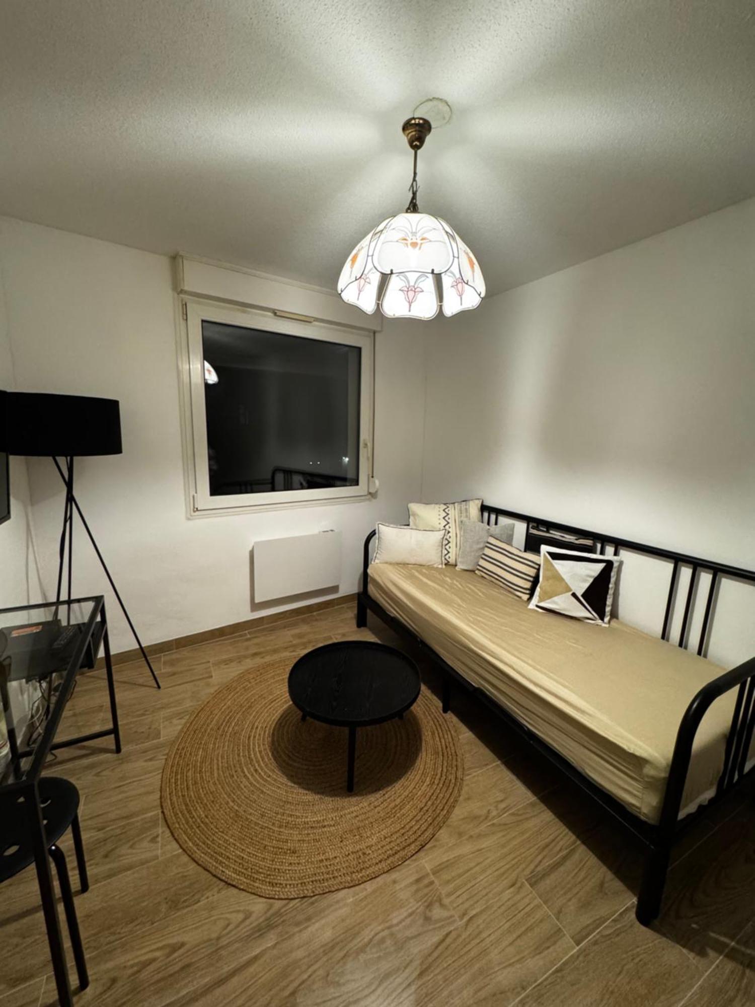 Le Sarsour Appartement Strasbourg Centre Dış mekan fotoğraf